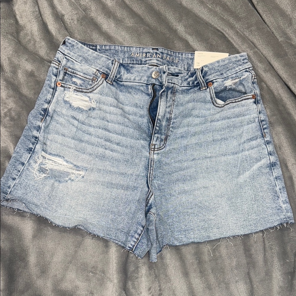 American Eagle Outfitters Blue Distressed Jean Shorts